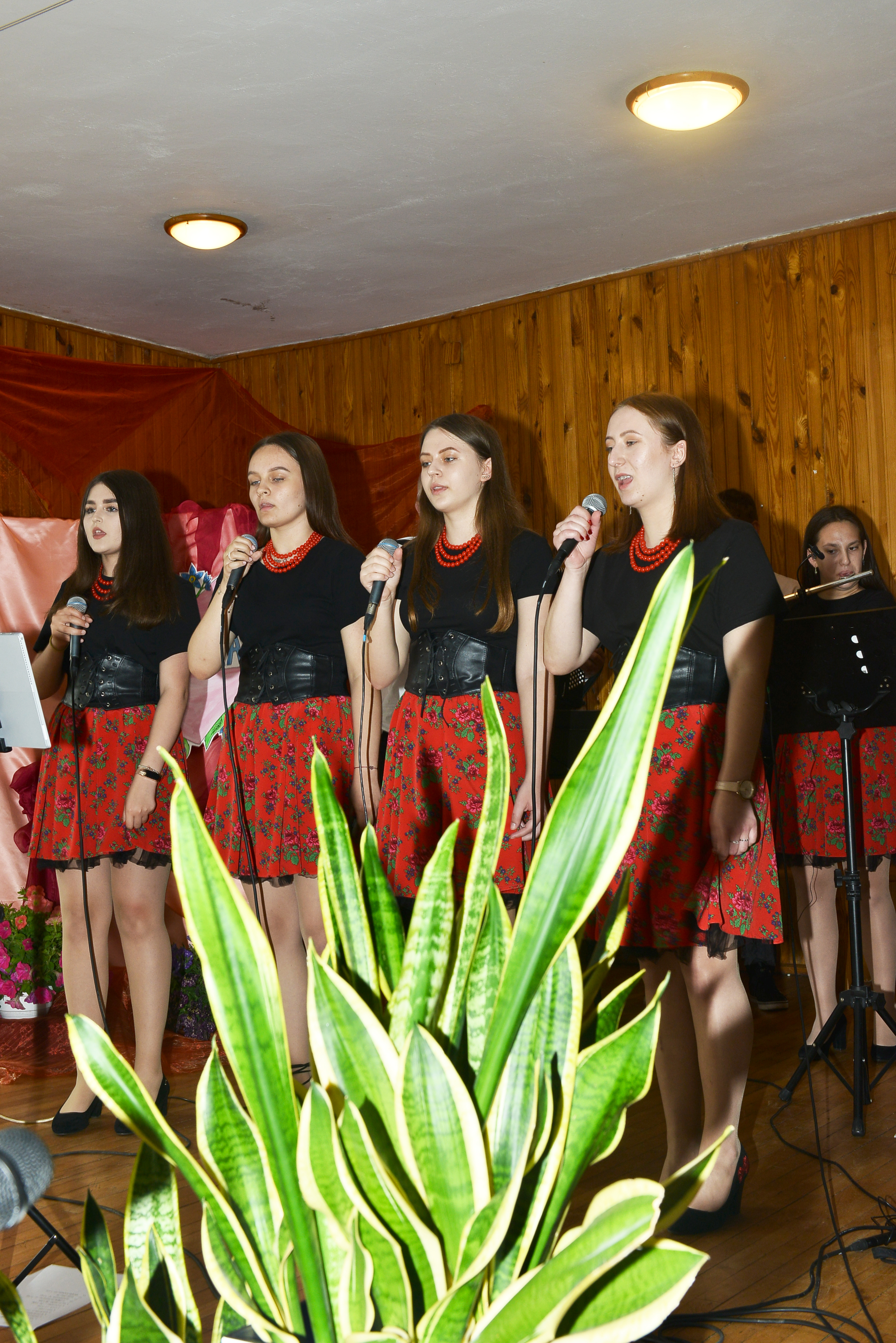 BOG_6017