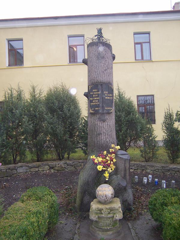 Kamieniec 008