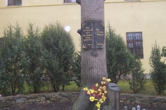 Kamieniec 008