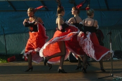 jarmark kulturalny 2008 140
