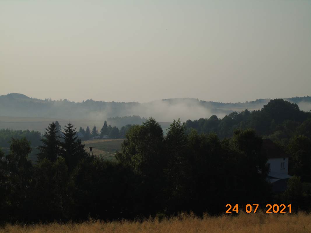 DSC02511