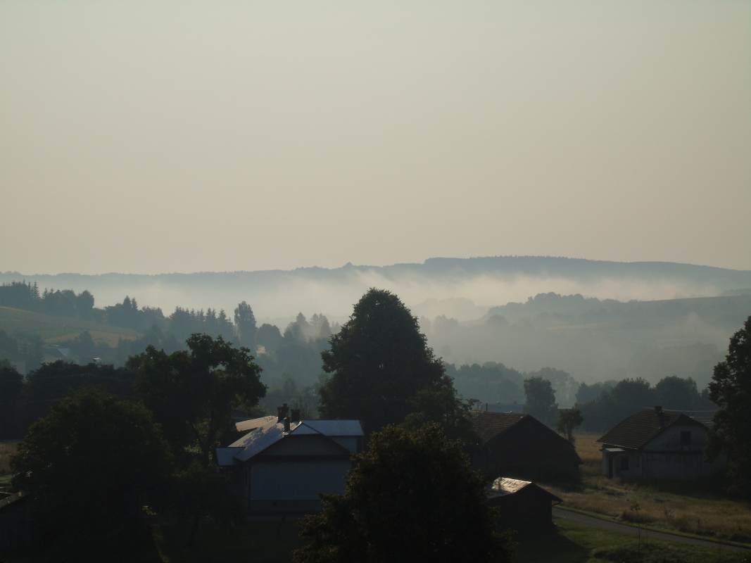 DSC02513