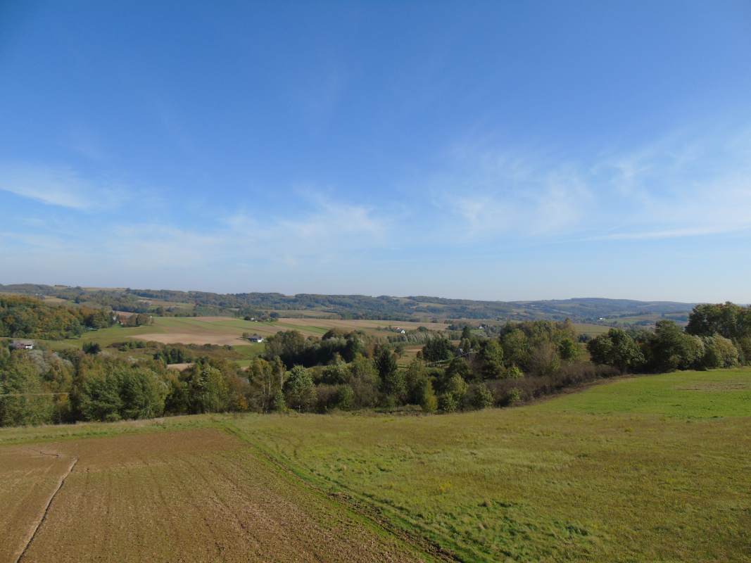 DSC02518
