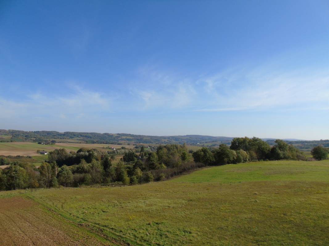 DSC02519