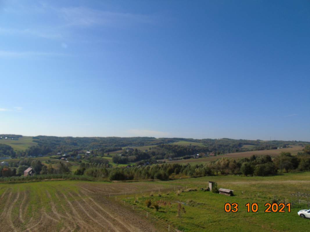 DSC02522