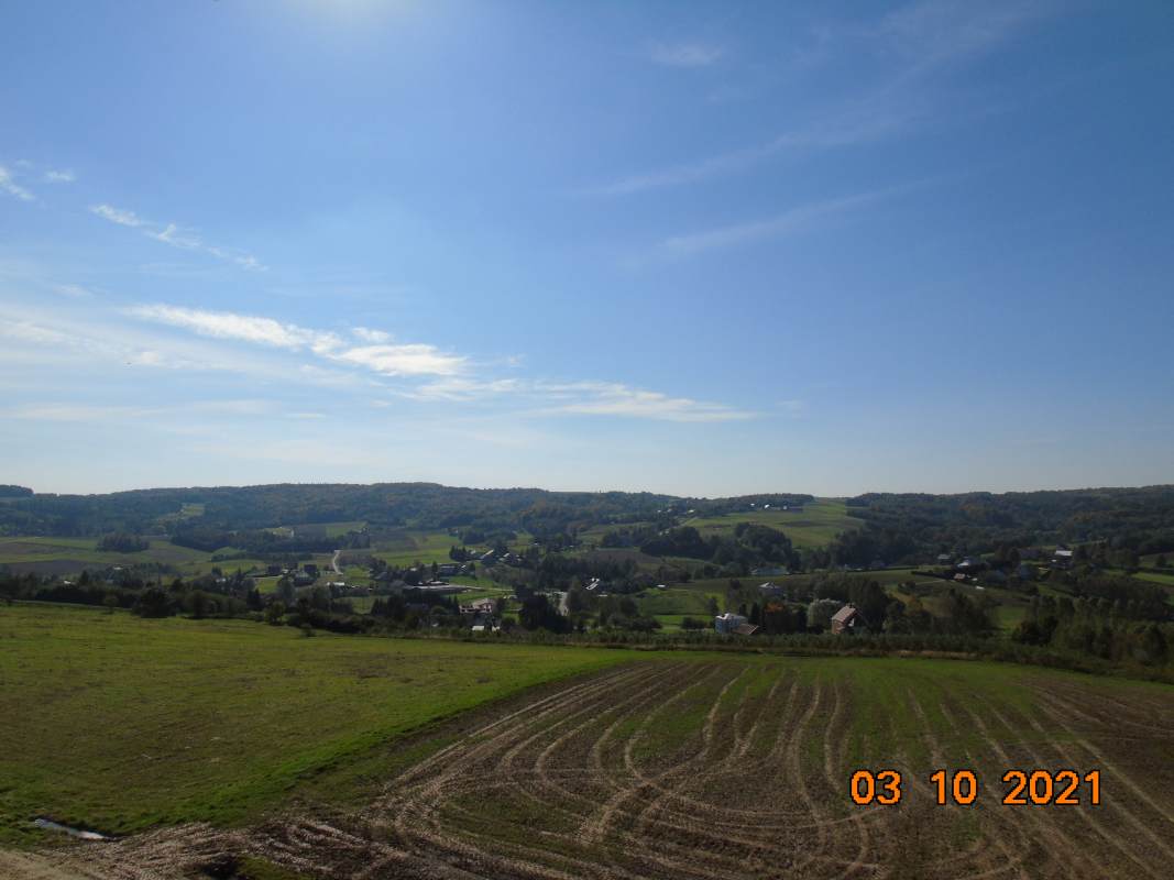 DSC02523