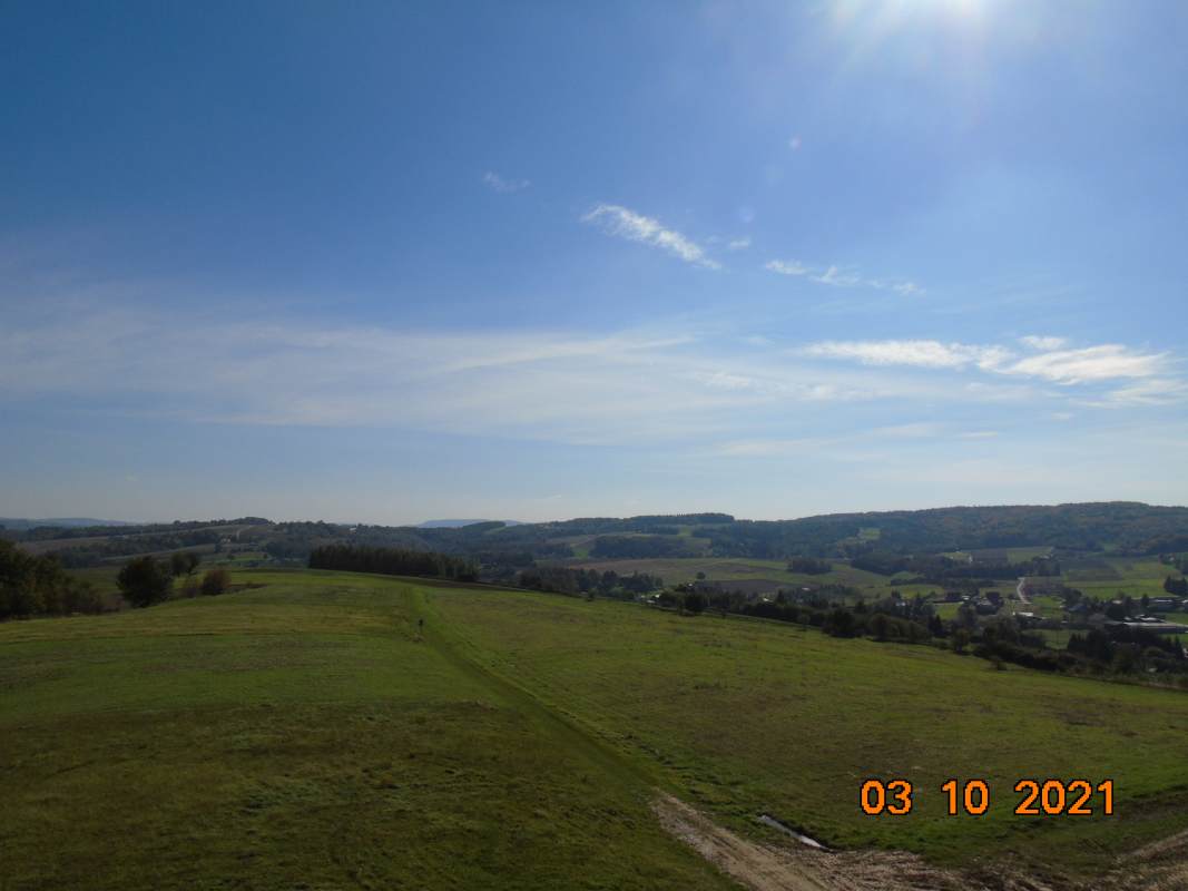 DSC02524