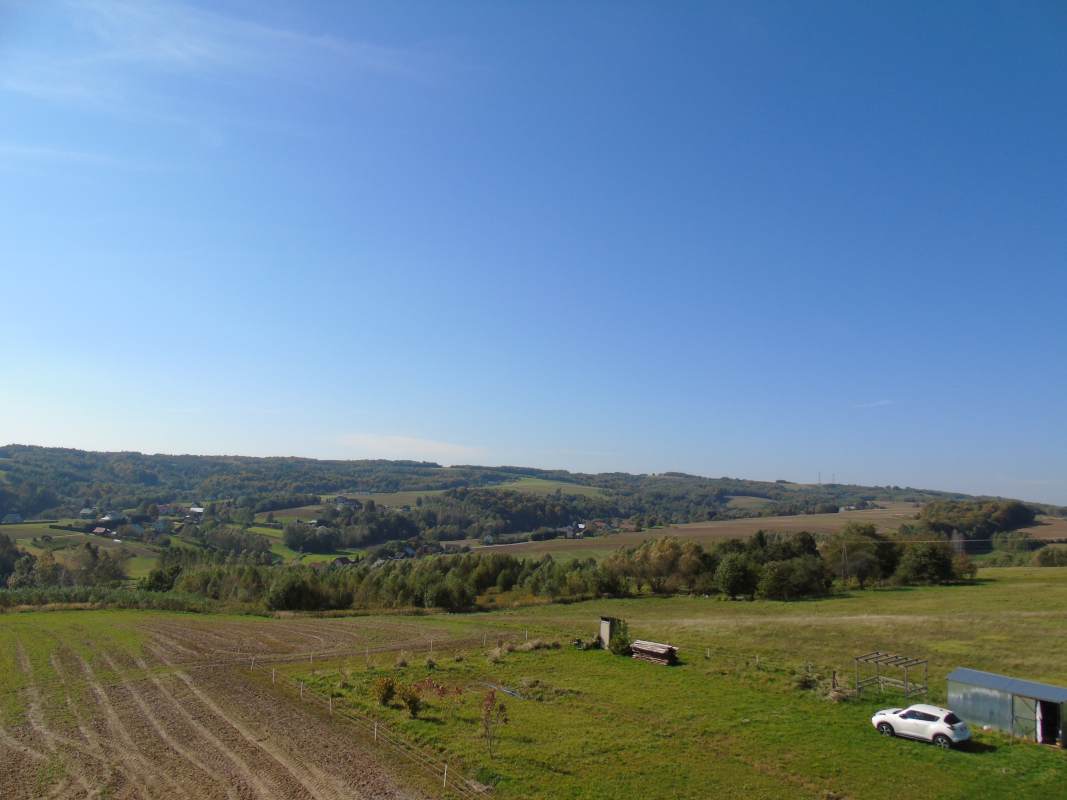DSC02527