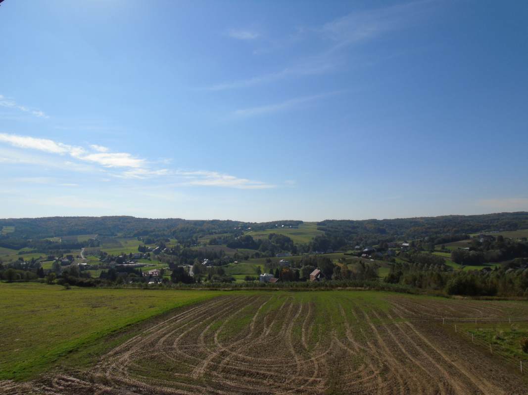 DSC02528