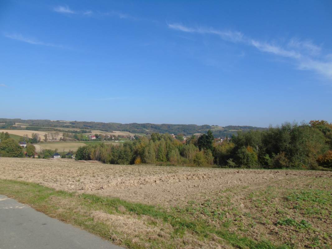 DSC02530