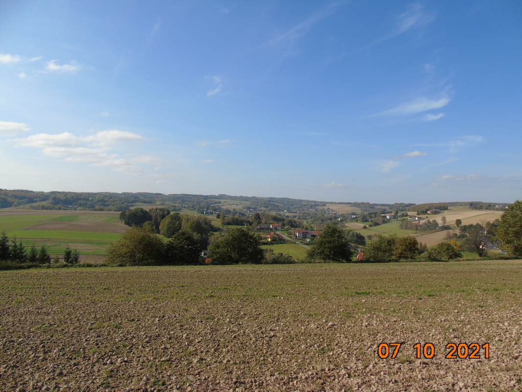 DSC02535