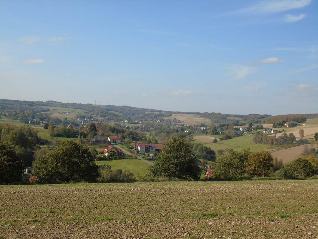 DSC02536