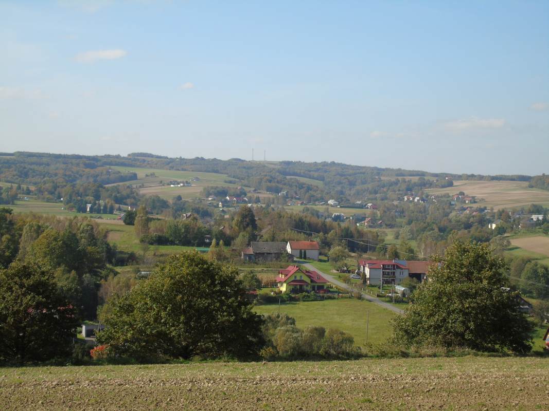 DSC02537