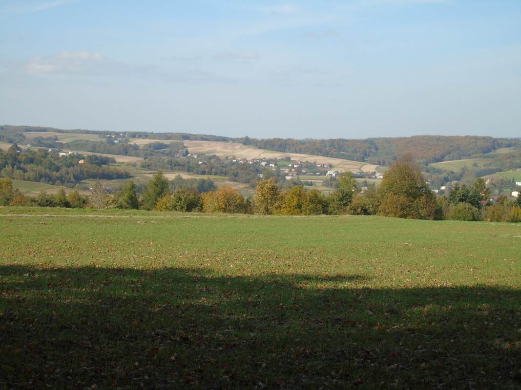 DSC02538