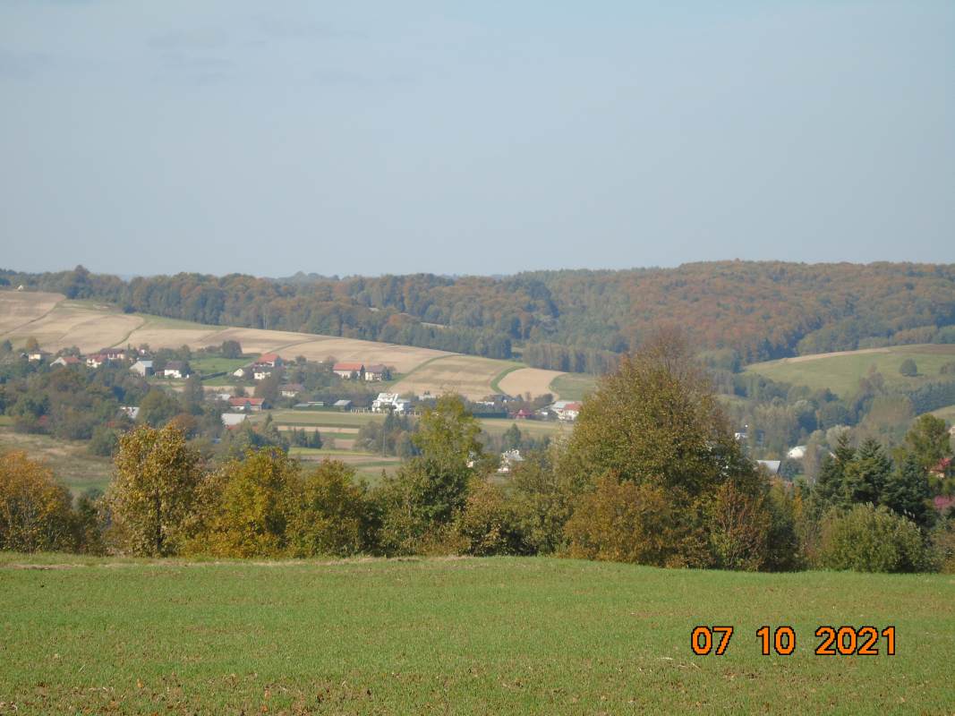 DSC02539