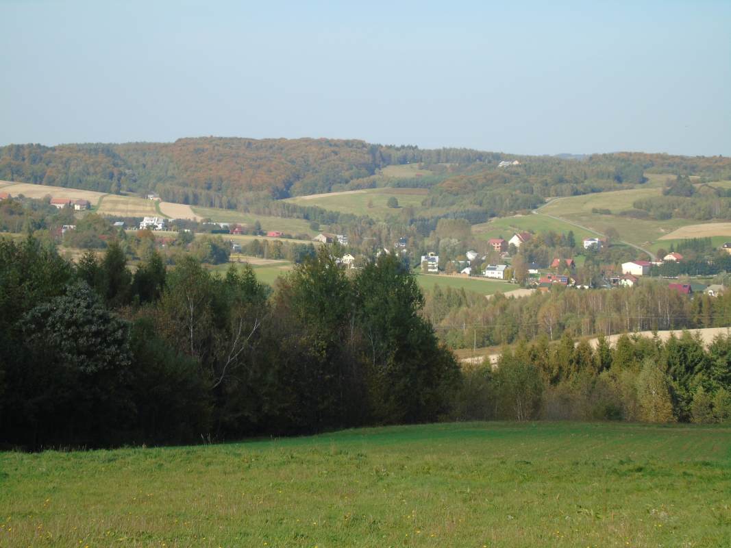 DSC02541