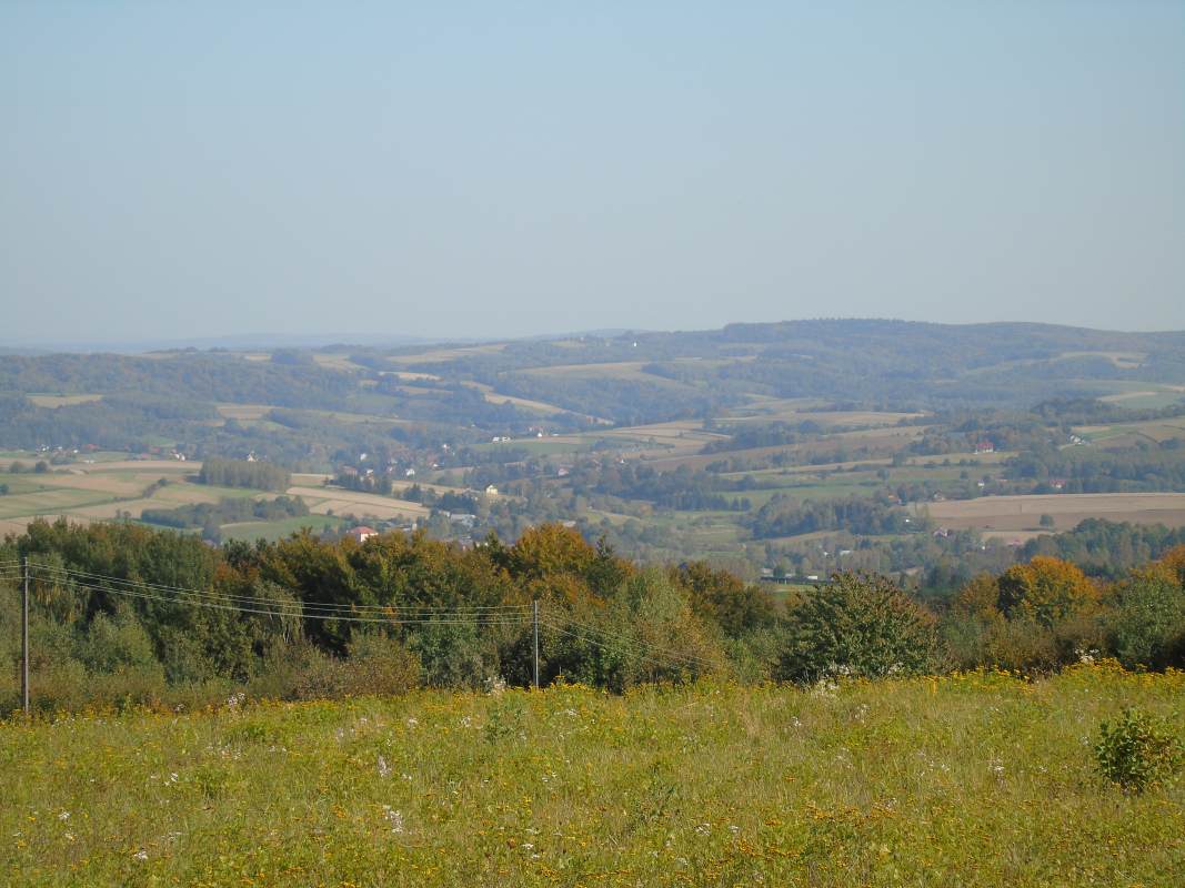 DSC02542