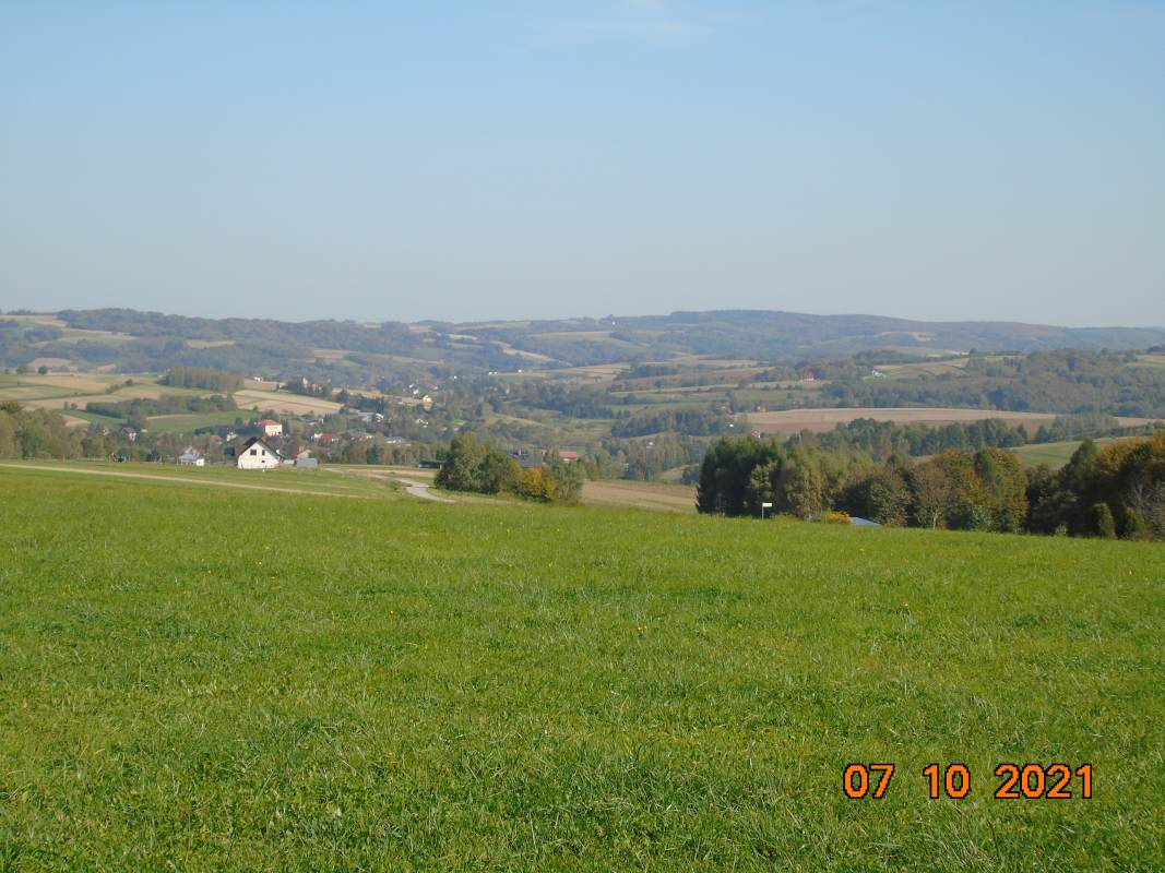 DSC02544