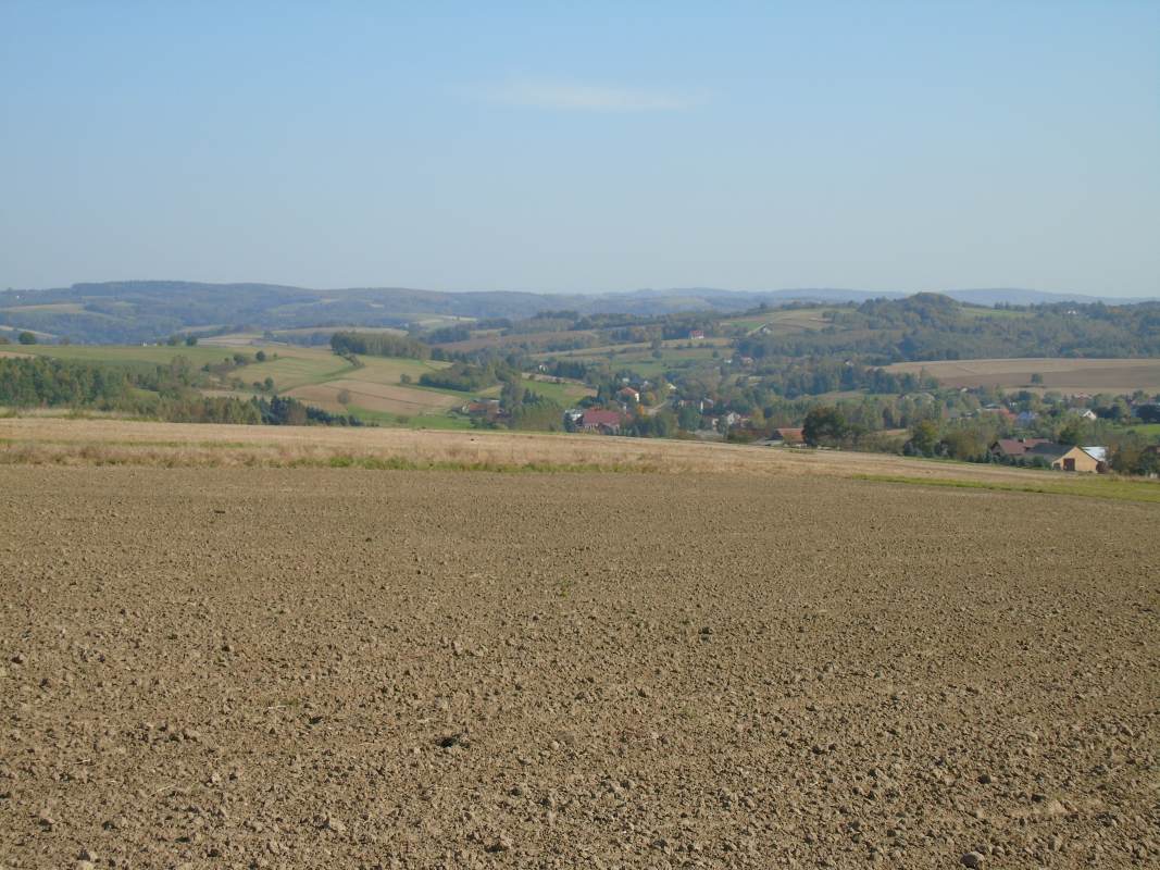 DSC02547