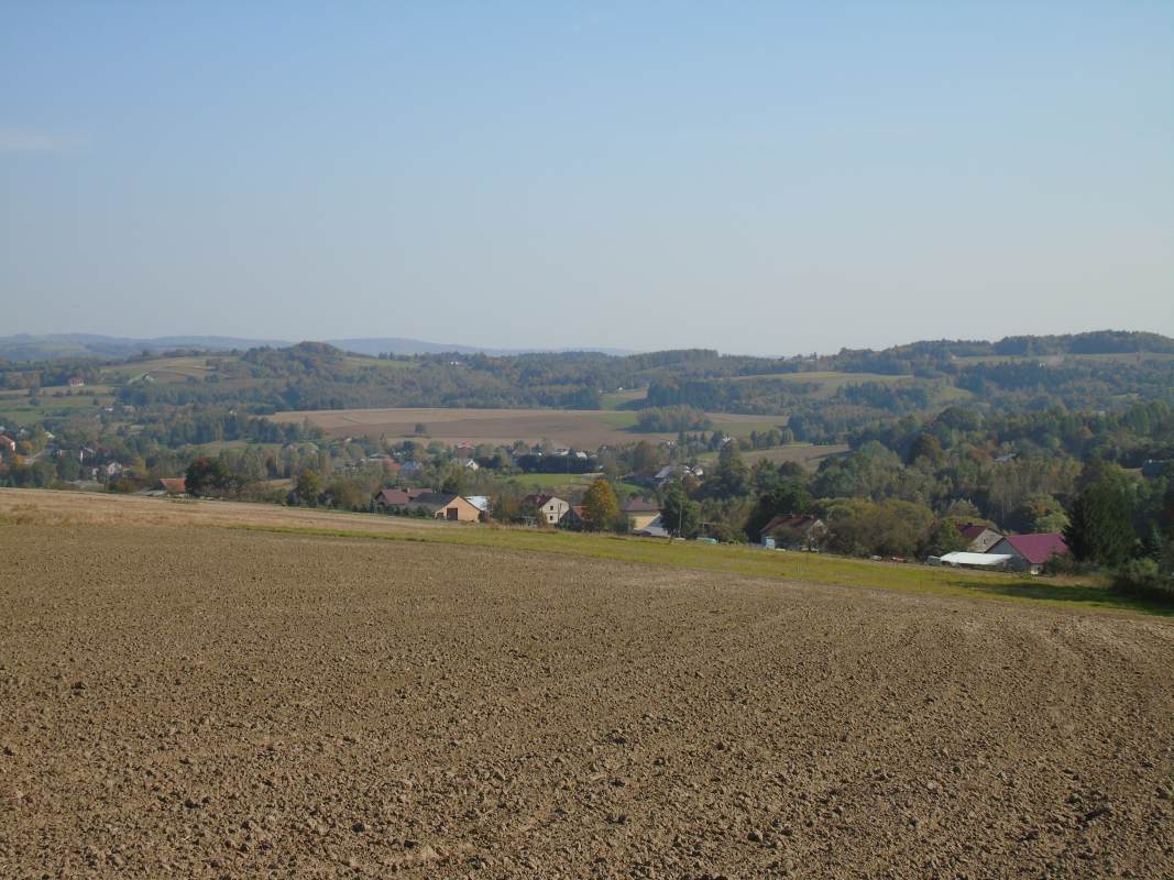 DSC02548