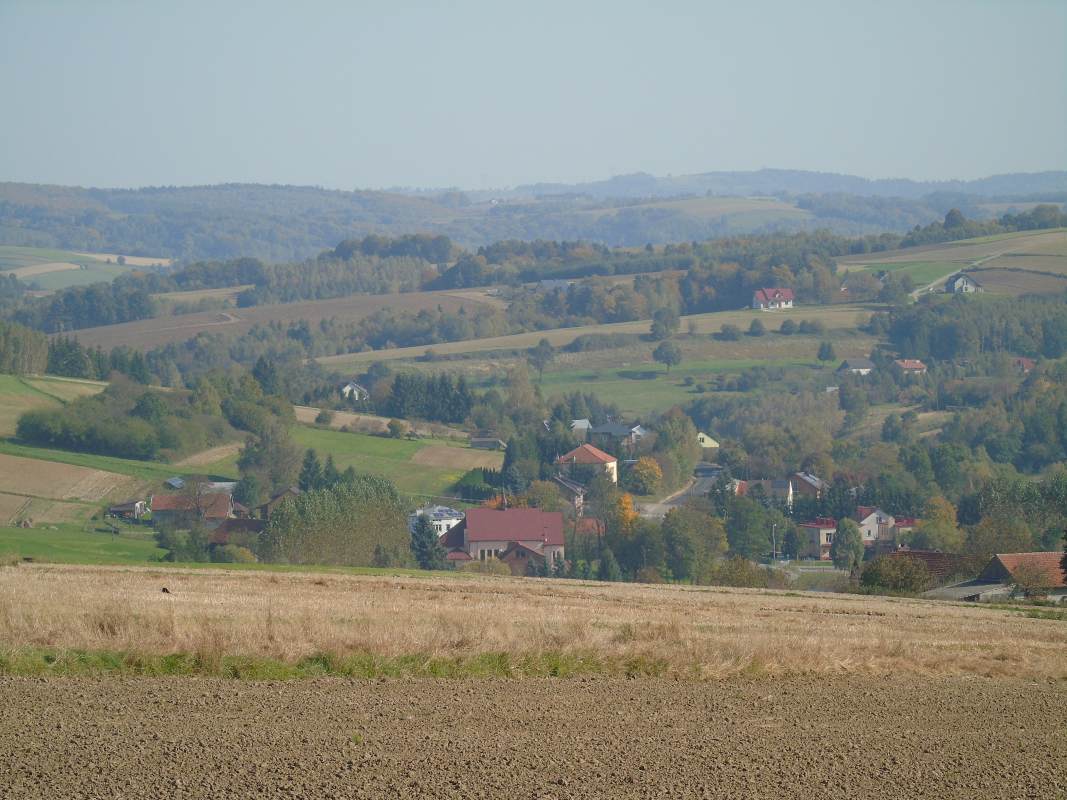 DSC02549