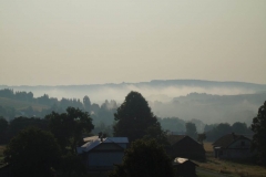 DSC02513