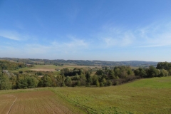 DSC02518