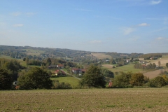 DSC02536