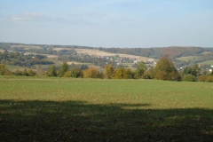 DSC02538
