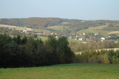 DSC02541