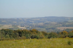 DSC02542