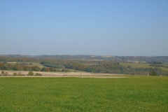 DSC02545