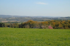 DSC02546