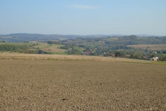 DSC02547
