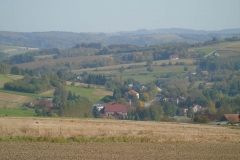 DSC02549