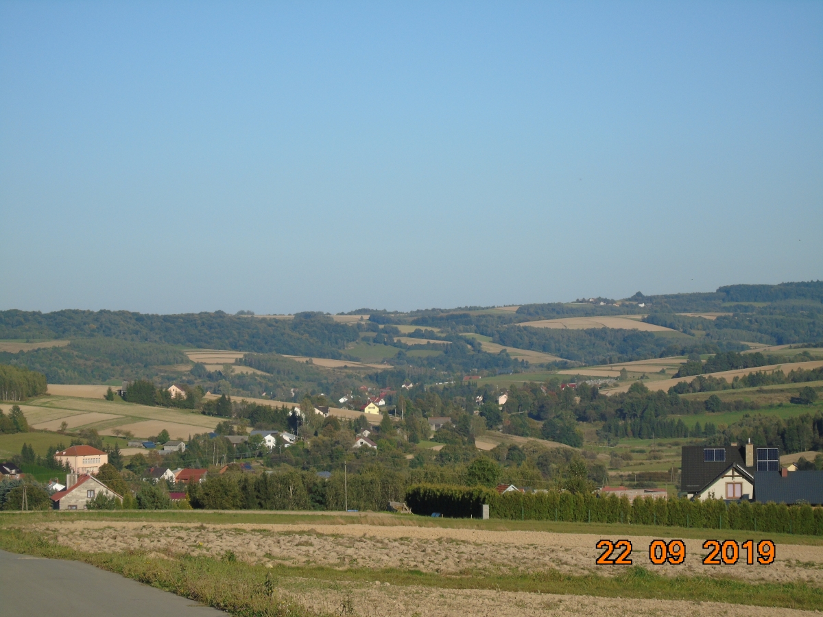 DSC01816