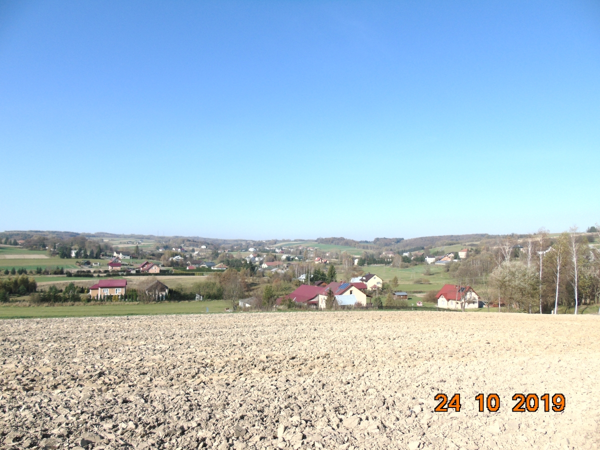 DSC01871