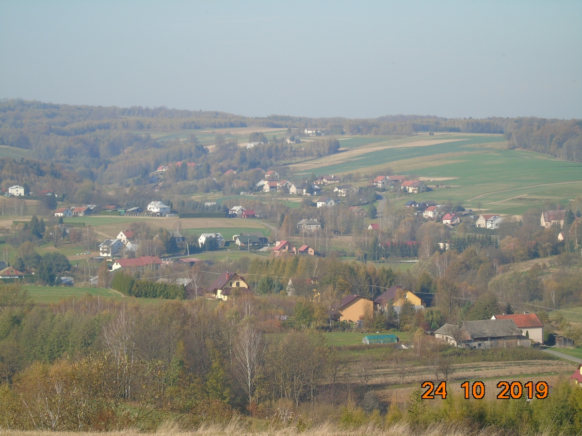 DSC01902