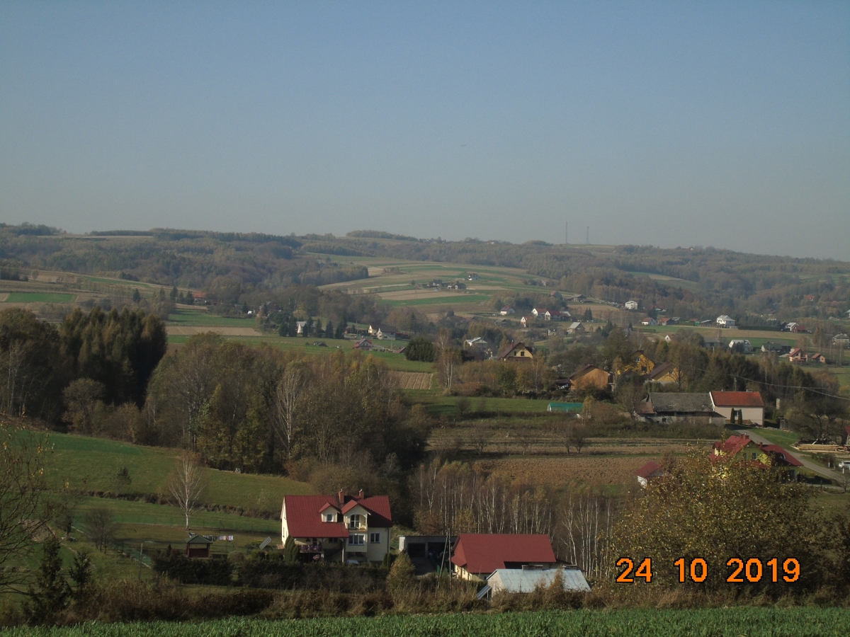 DSC01906