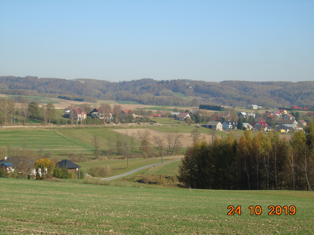 DSC01911