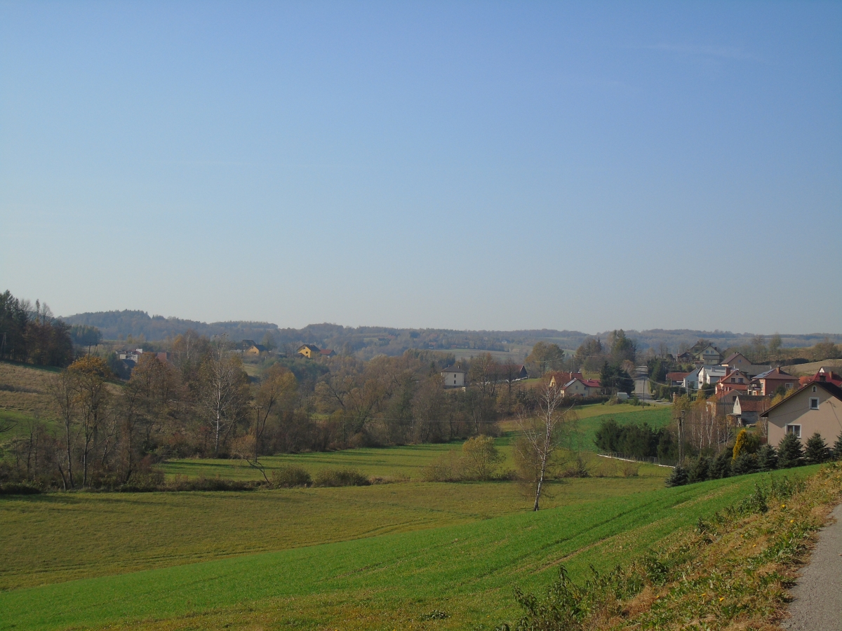 DSC01913