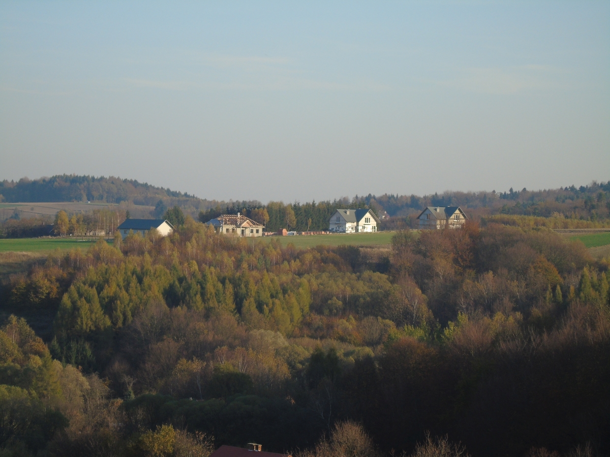 DSC01917