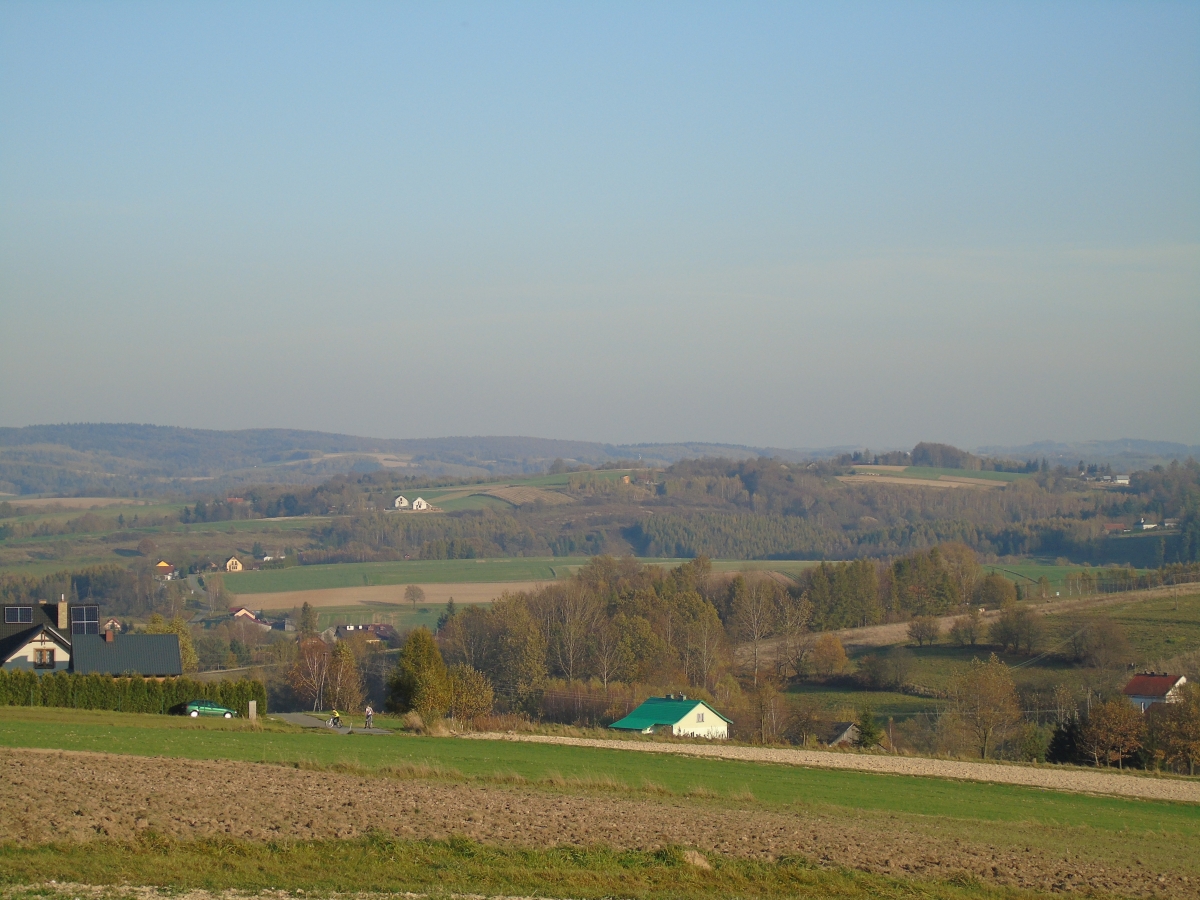 DSC01918