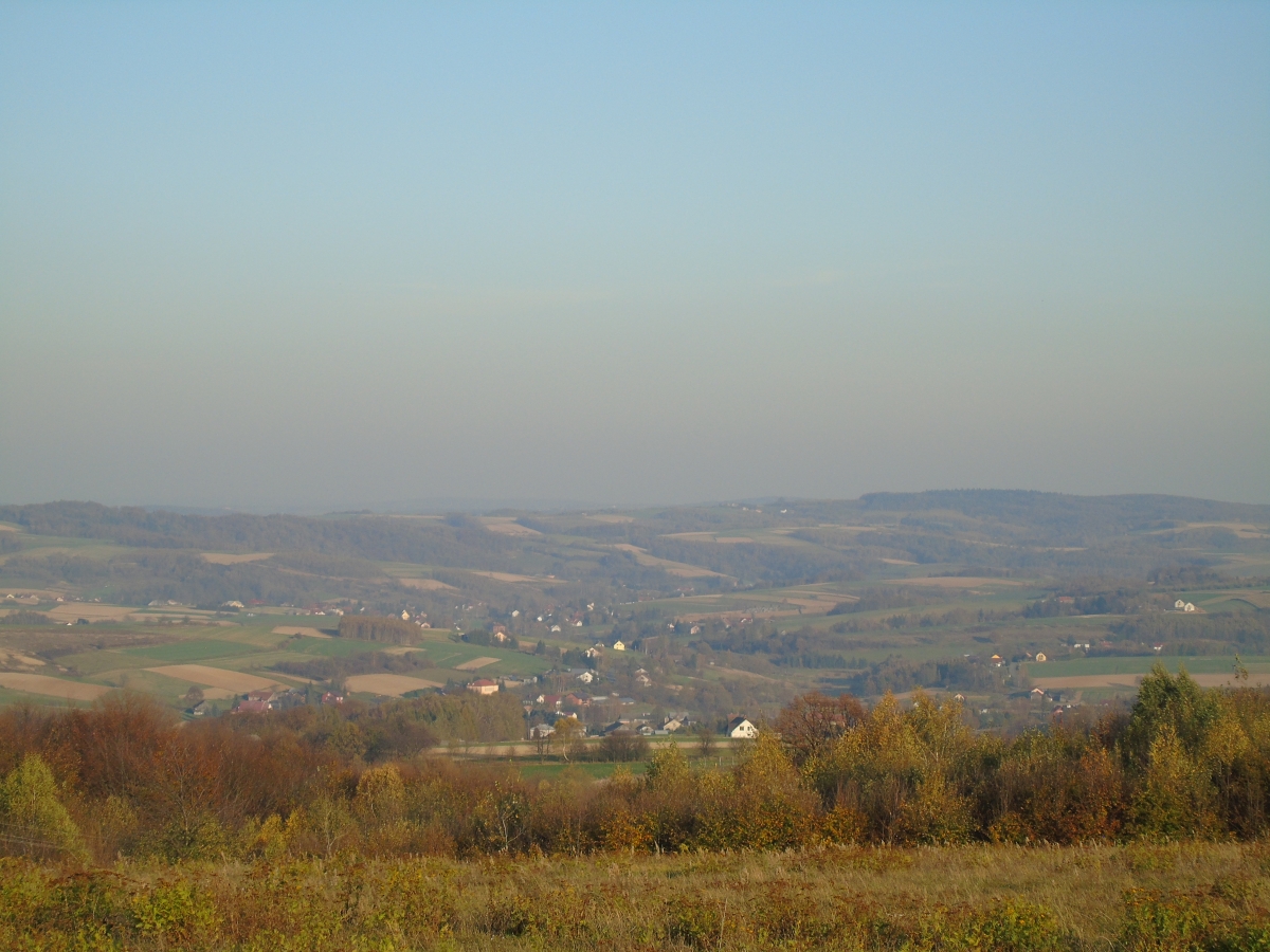 DSC01937