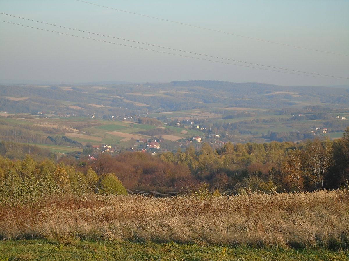DSC01940