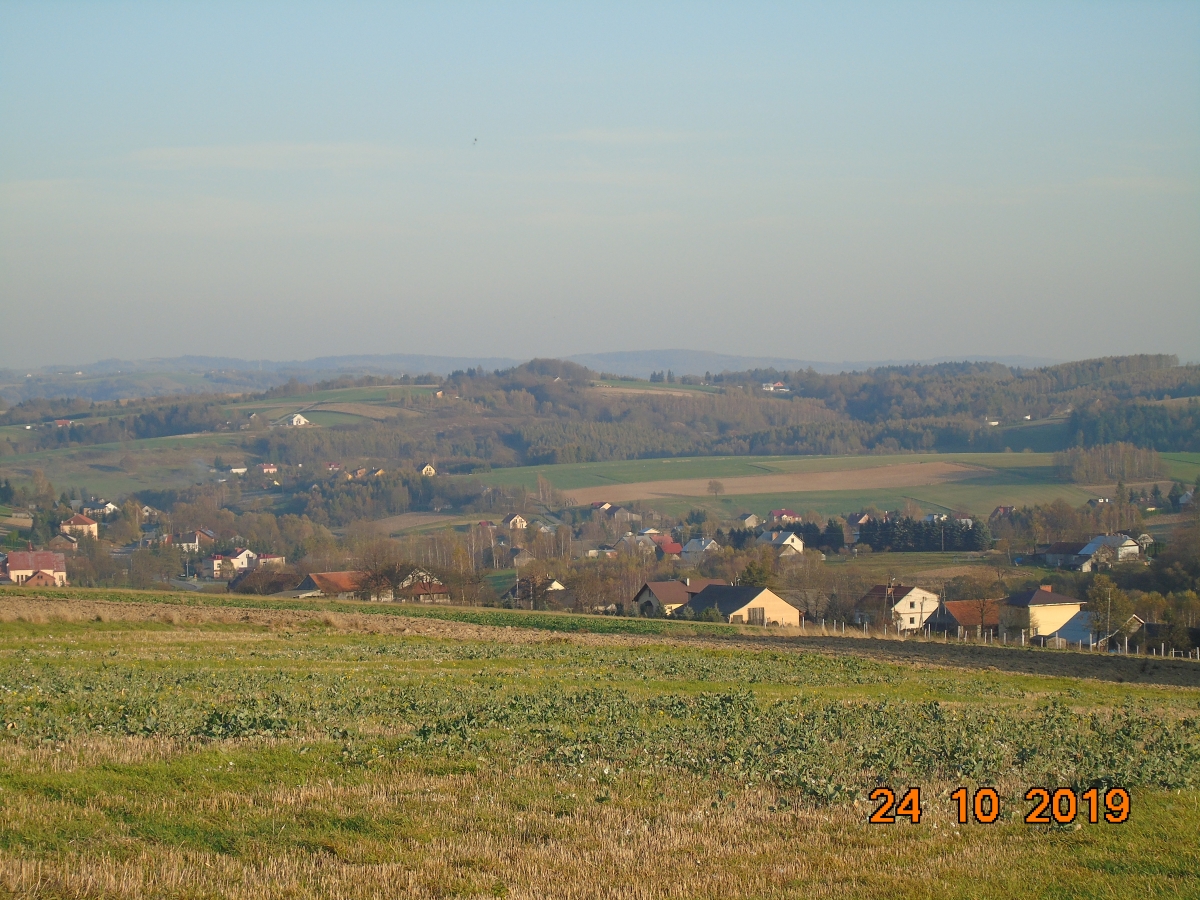 DSC01946