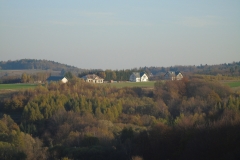 DSC01917