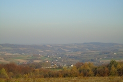 DSC01937