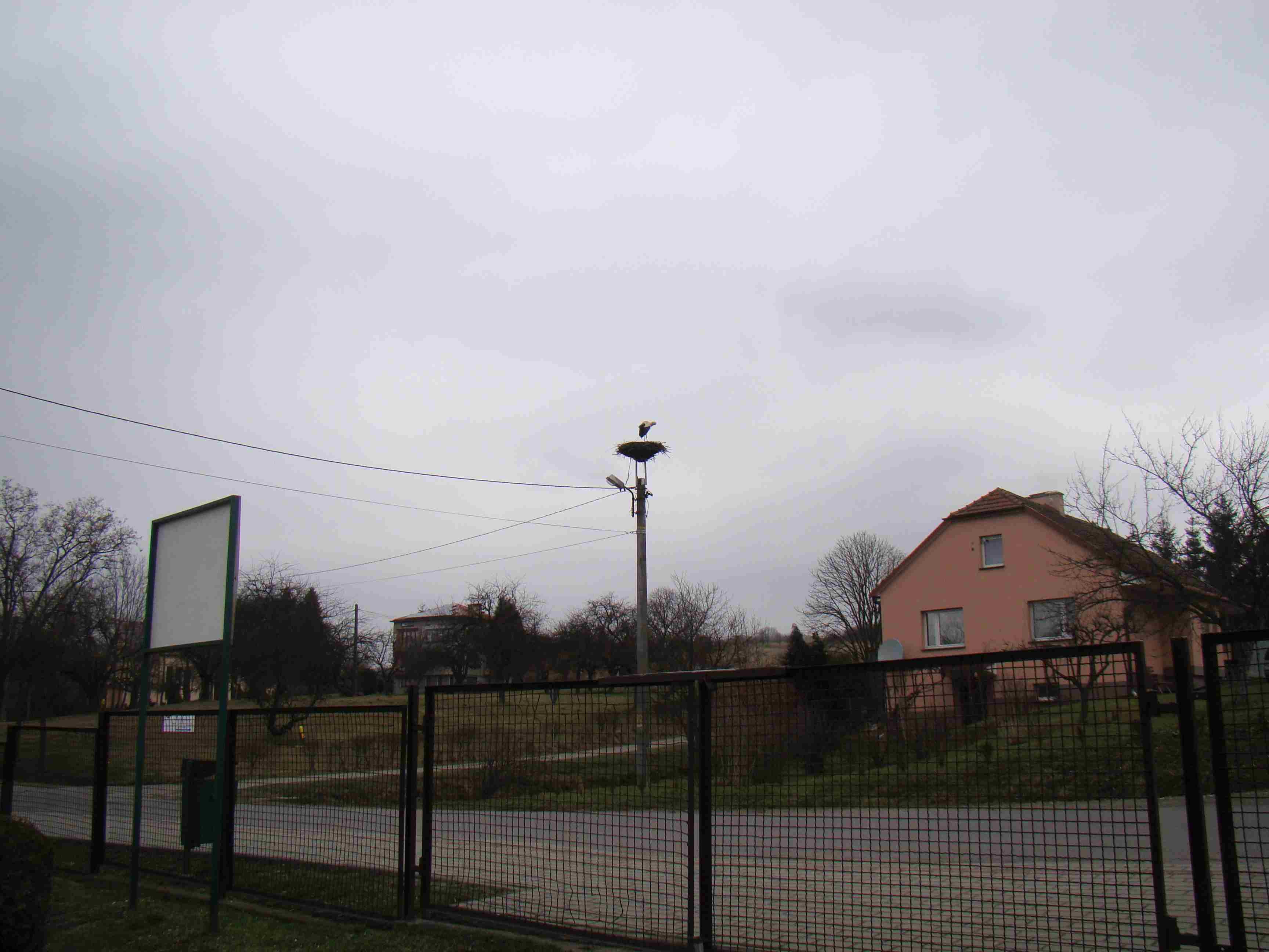 DSC09324