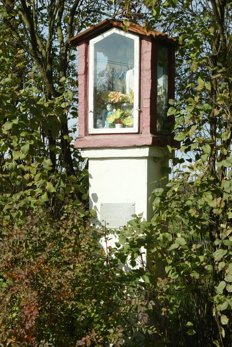 nr11_max